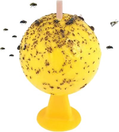 Effectieve Insectenballen - 10 Stuks, Vliegenvanger met Lijm voor Huis en Tuin
