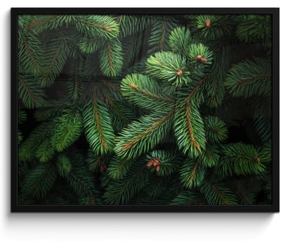 Poster in lijst - Fotolijst 80x60 cm - Posters - Sparrentakken - Knoppen - Naalden - Groen - Posterlijst zwart - Decoratie - Wanddecoratie woonkamer - Muurdecoratie slaapkamer