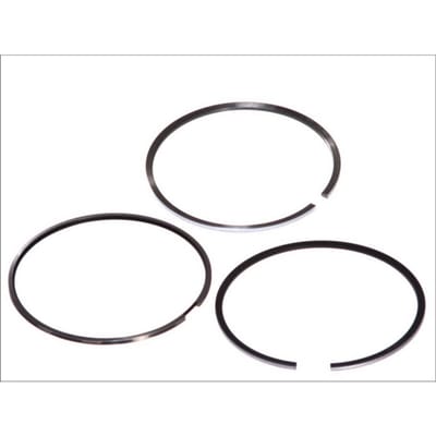 Zuigerveren set MAHLE 229 05 N0