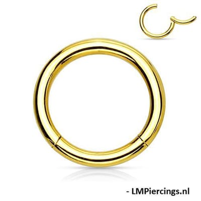 Piercing ring high quality - Chirurgisch staal 1.2x12 mm - goud - LMPiercings