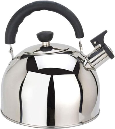 Waterkoker Roestvrij Staal - Theepot Fluitketel - Water Koken - Energiebesparende Bodem - 6 Liter - Zilverkleurig