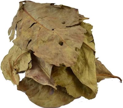 De Kruidenbaron - Daun Salamblad - zak 1 kilo