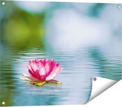 Gards Tuinposter Roze Lotusbloem op het Water - 80x60 cm - Tuindoek - Tuindecoratie - Wanddecoratie buiten - Tuinschilderij