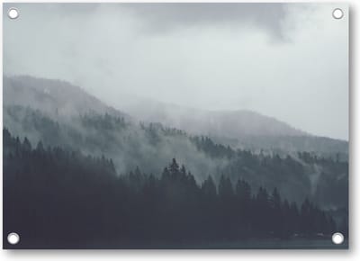 Bomen - Onder de sluipende mist - Tuinposter 70x50 - Wanddecoratie - Minimalist - Landschap - Natuur