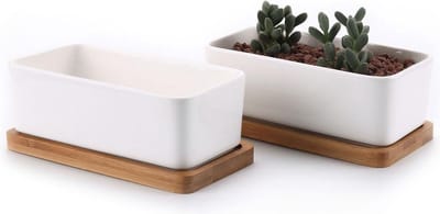 Succulente Plantenpot Set van 2 - 165CM Rechthoek Keramiek Vetplant Bloempot - Bamboe Onderzetter - Binnen Klein Cactus Pot met Afvoergat - Wit voor Sappige Aloë Kruid - Decoratieve Geschenk