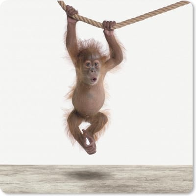Muismat 20x20 cm - Mousepad Dieren - Oerang Oetan - Oranje - Muismatten