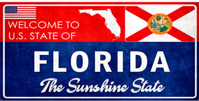 Signs-USA - Souvenir Kentekenplaat - metaal - Florida - 15 x 30 cm