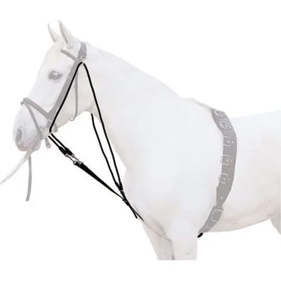 Gogue voor paard Lexhis