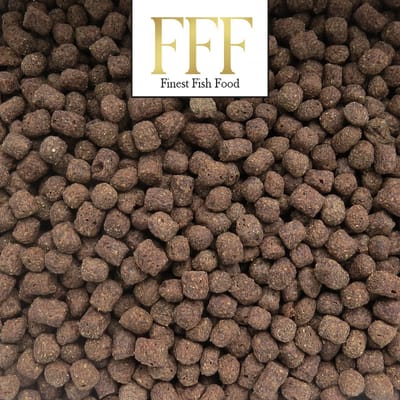 Finest Fish Food Premium Koivoer 6mm 5 kilo