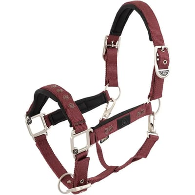 Halster BR Equitation Eevolv Karin