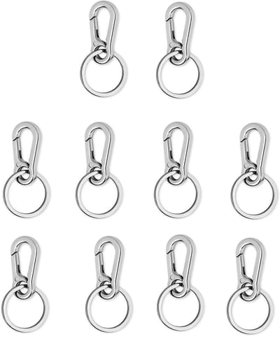 Dailygoods - Karabijnhaak, sleutelhanger met sleutelring, 10 stuks, karabijnhaken, sleutelhanger, karabijnsluiting, afneembare karabijnhaken voor mannen en vrouwen, zilver
