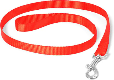 Duvoplus - Kledingaccessoire Voor Dieren - Hond - Nylon Leiband L-xl - 100cm/25mm Rood - 1st