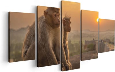 Artaza Canvas Schilderij Vijfluik Twee Apen Bekijken De Zonsondergang - 100x50 - Foto Op Canvas - Canvas Print