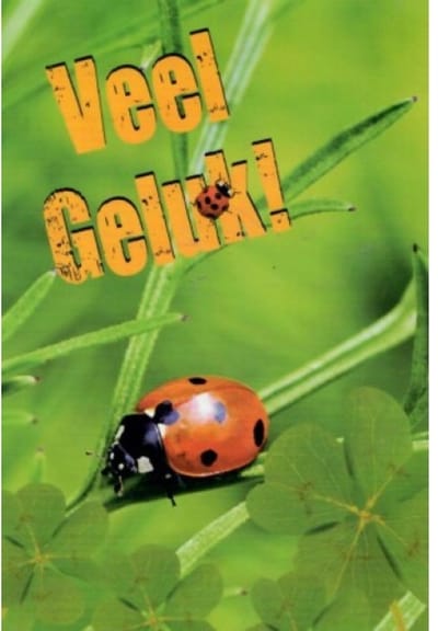 Veel geluk! Een bijzondere kaart met meerdere afbeeldingen van klavertje vier. Op de takjes zit een lieveheersbeestje. Leuk om zo te geven of om bij een cadeau te voegen. Een dubbele wenskaart inclusief envelop en in folie verpakt.