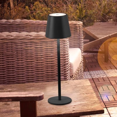 JUST LIGHT. GmbH JUST LIGHT. Euria LED tafellamp, zwart, ijzer IP54