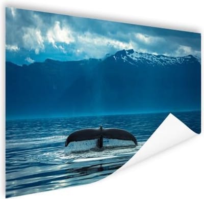 Staart van een grote bultrug walvis Poster 180x120 cm - Foto print op Poster (wanddecoratie woonkamer / slaapkamer) XXL / Groot formaat!