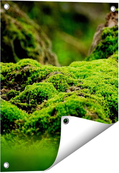 Gards Tuinposter Groen Mos - 40x50 cm - Tuindoek - Tuindecoratie - Wanddecoratie buiten - Tuinschilderij