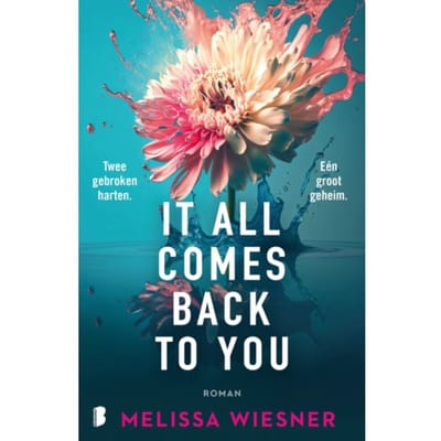 It All Comes Back To You - Melissa Wiesner