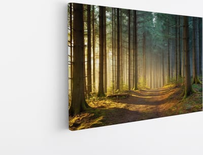 Saammp Canvas Schilderij - Bospad tussen de bomen - Landschap - Natuur - 45x30 - Foto op canvas - Wanddecoratie - Muurdecoratie Woonkamer - Slaapkamer decoratie - Canvas Print