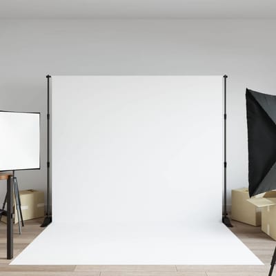 vidaXL - Achtergrondstandaard - 254x243 - cm - staal - zwart