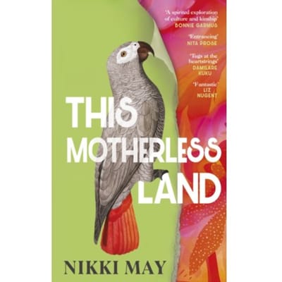 This Motherless Land - Nikki May