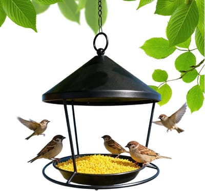 Vogelvoederhuisje Metaal - Voederschaal Kolibrie - Vogels Voeren - Bescherming Tegen Eekhoorns - 23 x 20 cm - Zwart