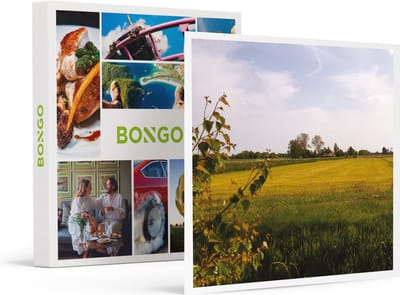 Bongo Bon -2 Dagen In Een Pipowagen Op De Friese Mini-camping Oer De Haske- Cadeaukaart