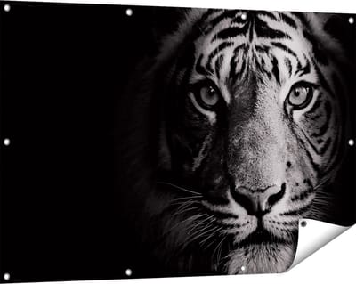 Gards Tuinposter Tijgerkop - Tijger - Zwart Wit - 120x80 cm - Tuindoek - Tuindecoratie - Wanddecoratie buiten - Tuinschilderij