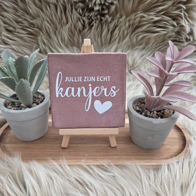 Robuust Wenstegeltje – Jullie Zijn Echt Kanjers – Hip trendy tegeltje – Bedankje voor Zorghelden, Team of Collega’s – Stoere en Betekenisvolle Wanddecoratie – Trendy nu – Decoratief Tegeltje met Standaard – Cadeau Idee