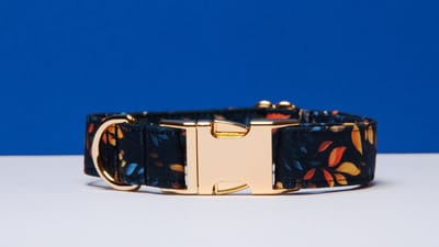 Awesome Paws Halsband Hond - Honden Halsband Herfst Collectie - Handgemaakte Halsbanden Voor De Hond - Mystic Blauw Herfst | Maat L