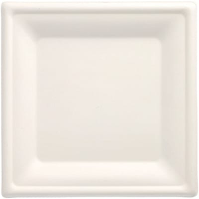 1x 100 Borden van suikerriet pure hoekig 20 cm x 20 cm wit