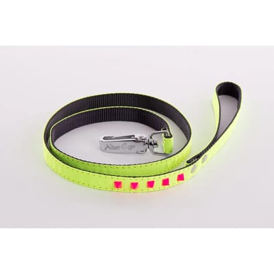 Fluo hondenlijn Martin Sellier