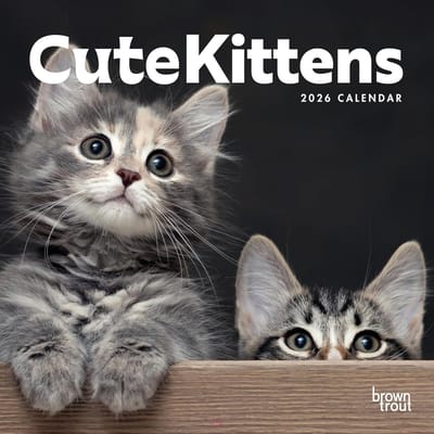 Wandkalender 2026 Maandelijks - Schattige Kittens & Huisdieren - 30x61 cm Hangend - Plasticvrij