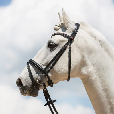 Gecombineerd hoofdstel met neusriem Kieffer Ultrasoft® Fashion