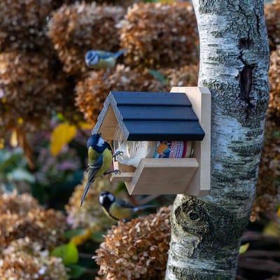 Vogelspotcast Pindakaaspothouder voor Vogels - Wieden - Vogelpindakaas Houder - Gemaakt van FSC-gecertificeerd Hout