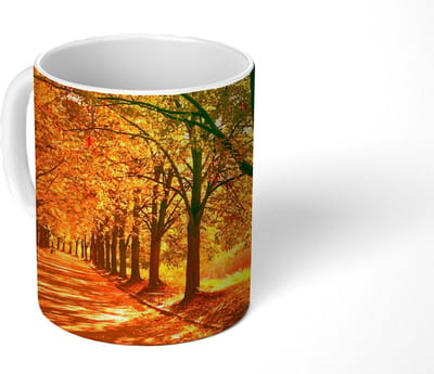Mok - Koffiemok - Bos - Herfst - Seizoenen - Landelijk - Mokken - 350 ML - Beker - Koffiemokken - Theemok