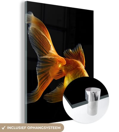 MuchoWow® Glasschilderij 120x160 cm - Schilderij acrylglas - Goudvis - Dieren - Zwart - Foto op glas - Schilderijen