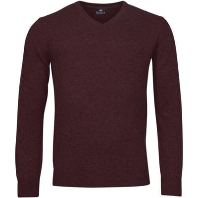 Baileys Trui V-Neck Uni Color Lambswool Aubergine / male