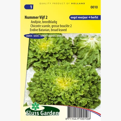 Sluis Garden - Andijvie Nummer Vijf 2