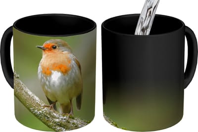 Magische Mok - Foto op Warmte Mokken - Koffiemok - Vogel - Roodborstje - Tak - Planten - Magic Mok - Beker - 350 ML - Theemok