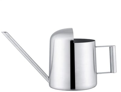 Dailygoody - Roestvrijstalen Gieter - Planten Water geven - Elegant ontwerp - Zilver - Duurzaam materiaal - Geschikt voor binnen en buiten - 300 ml