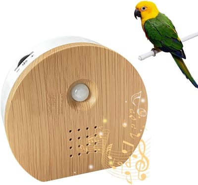 Natuurgeluidenbox met bewegingsmelder - Vogelzang en bosgeluiden - Houten soundbox met wandhouder