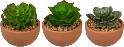 Kunstplanten Set - Vetplanten Decoratie - Interieur Opfleuren - Drie Verschillende Designs - 9 x 85 cm - Design 5