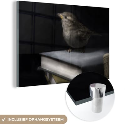 MuchoWow® Glasschilderij 120x80 cm - Schilderij acrylglas - Vogel - Boeken - Portret - Foto op glas - Schilderijen