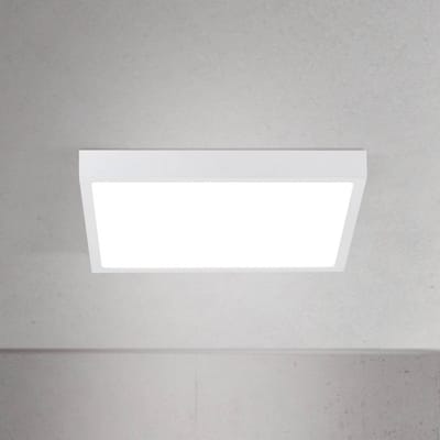 ORION LED plafondlamp Disc, wit, lengte 24 cm, CCT, metaal
