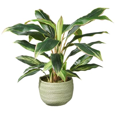 Kunstplant Cordyline H60cm in mand groen - HTT Decorations kunstplanten