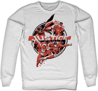 DC Comics Justice League Sweater/trui -S- Heroes Wit