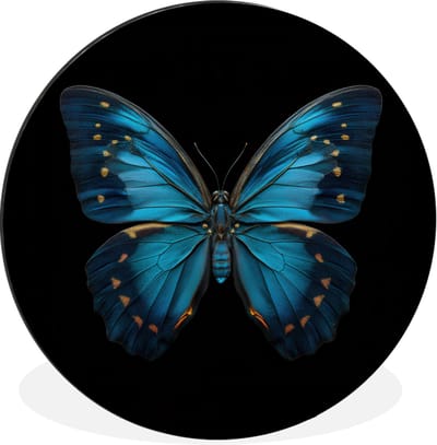 WallCircle - Wandcirkel - Muurcirkel - Vlinder - Blauw - Contrast - Aluminium - Dibond - 30x30 cm - Binnen en Buiten