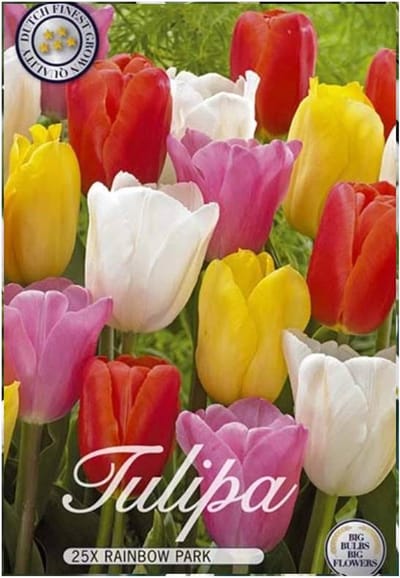 Dutch Finest Quality Rainbow Park Tulpenbollen - 20 Bloembollen - Triumph Tulp - Kleurrijke Voorjaarsbloei - Maat 12+ - Herfstplanting