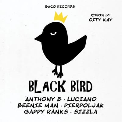 Various Artists - Black Bird Riddim By City Kay (LP)
